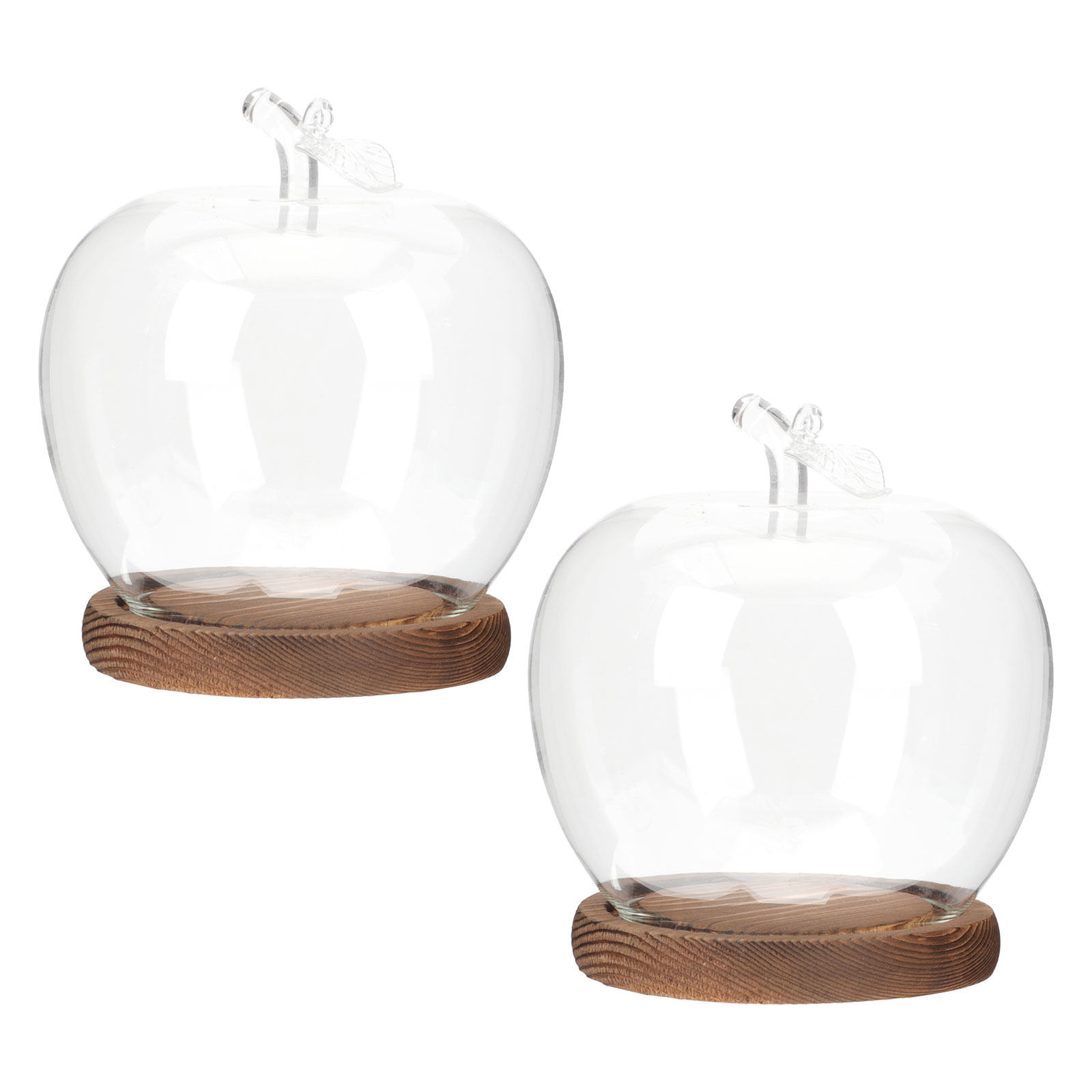 Plastic Dome Clear - 2 Stück Glasglocke mit Holzsockel, Klare