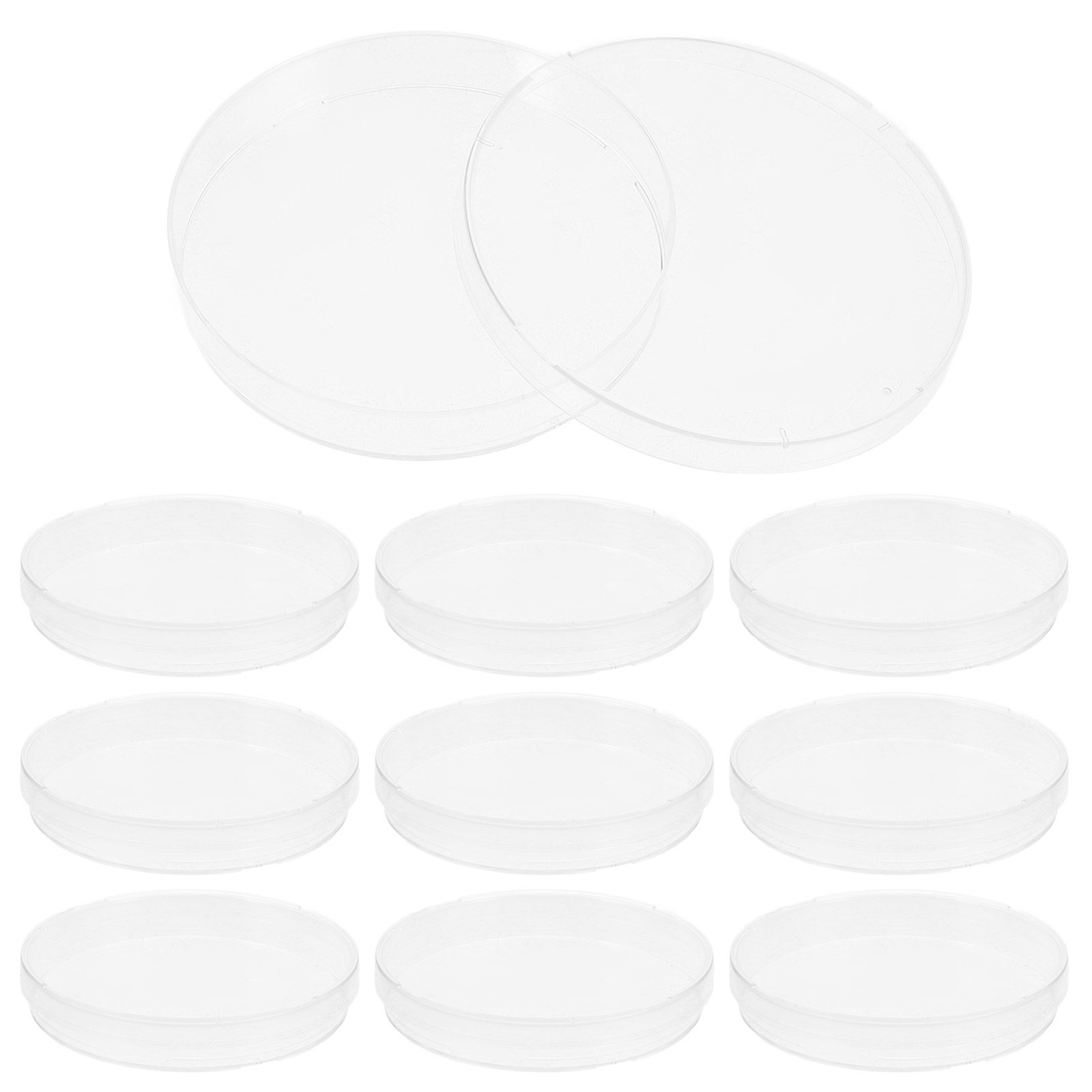 20 Stück zuverlässige sterile  – Agar Tissue Culture Bewertung und Preis