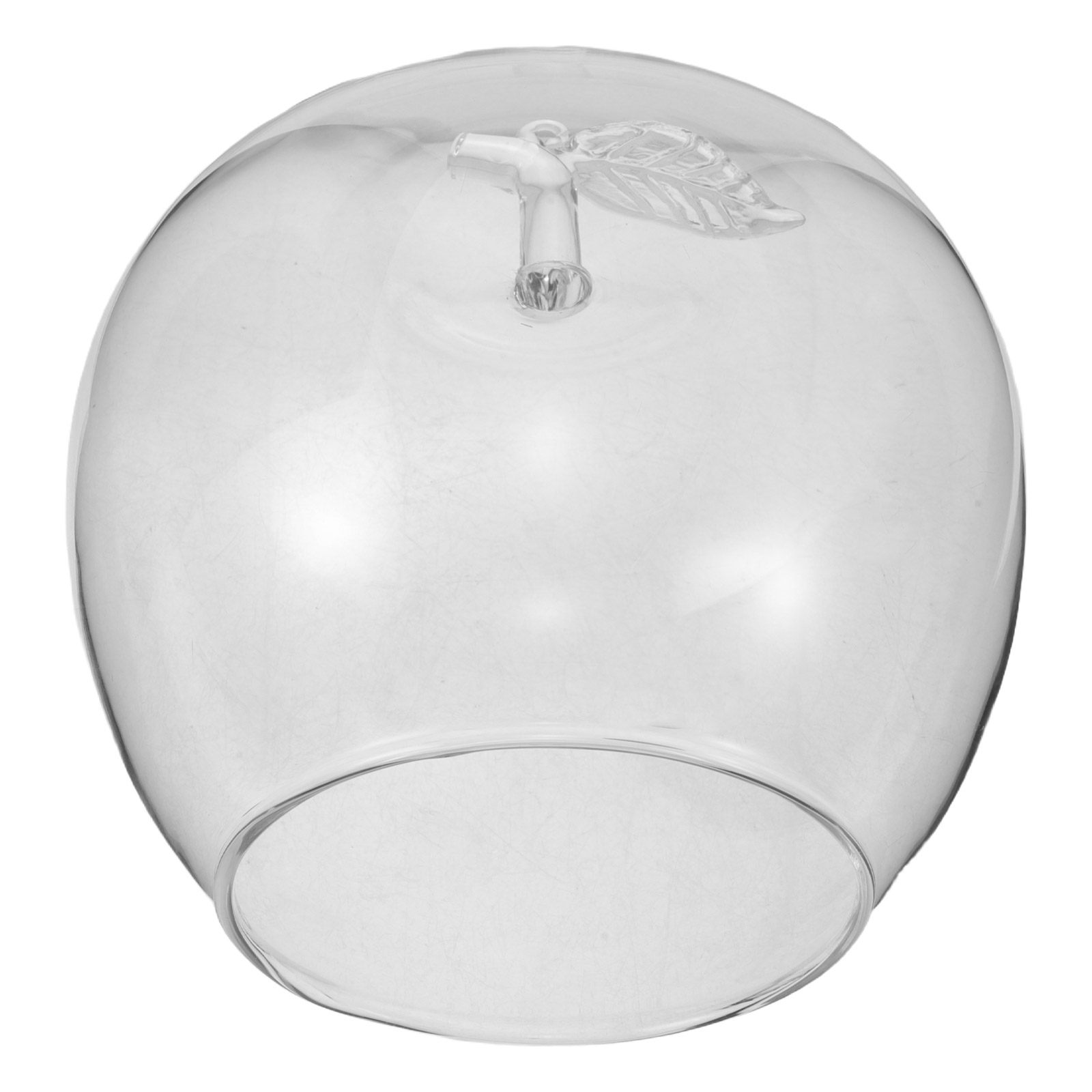 Fruchtförmige Glaskuppel, Klar – Plastic Dome Clear Bewertung und Preis