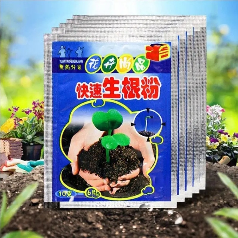 5 stücke Schnelle Verwurzelung – Rooting Hormone Powder Bewertung und Preis