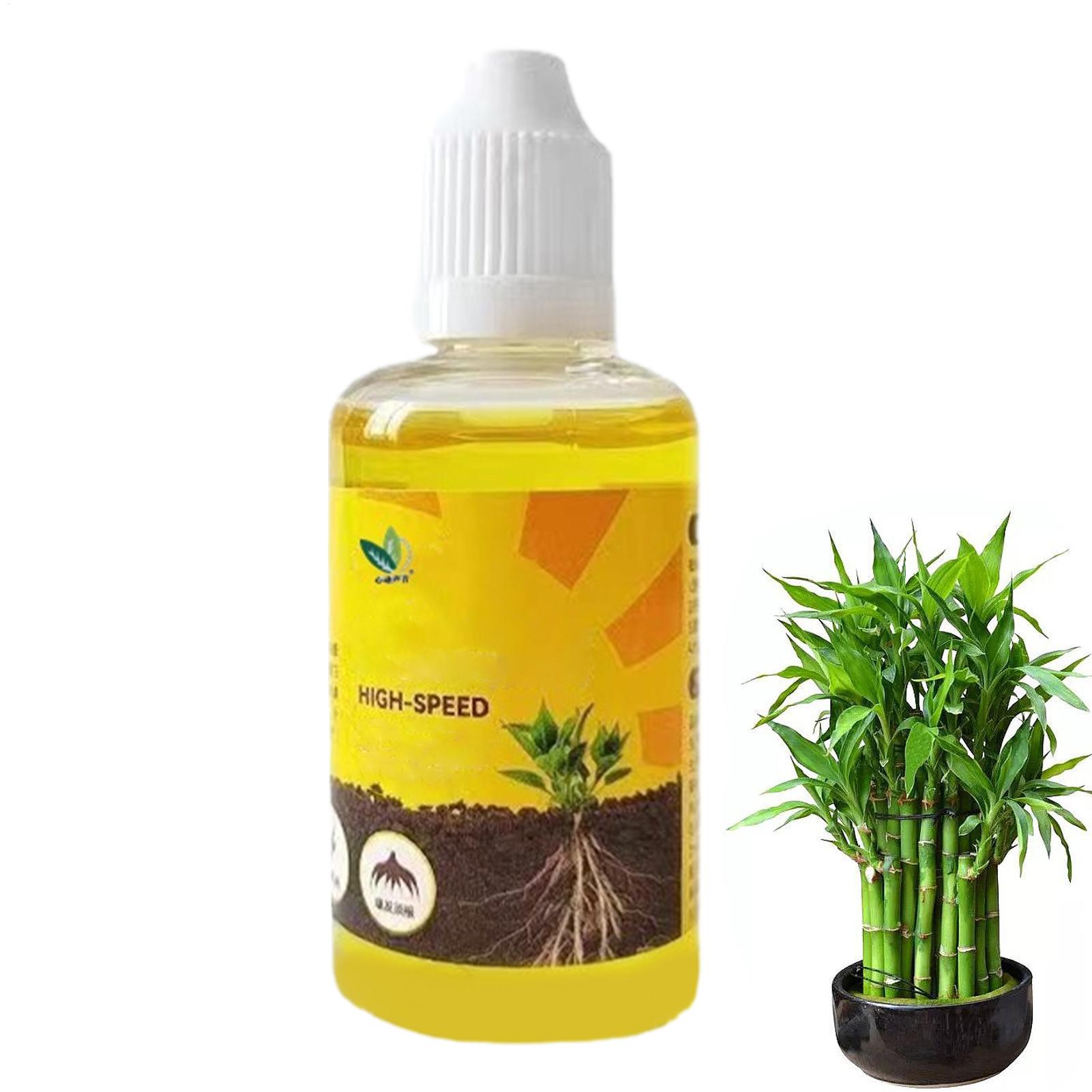 50 ml Pflanzenwurzel-Stimulato – Root Stimulator Liquid Bewertung und Preis