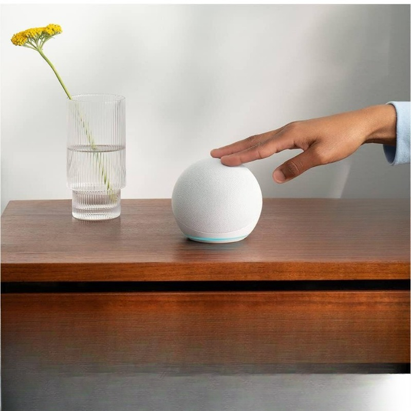 Intelligenter Lautsprecher mit – Amazon Speaker Echo Pop Bewertung und Preis